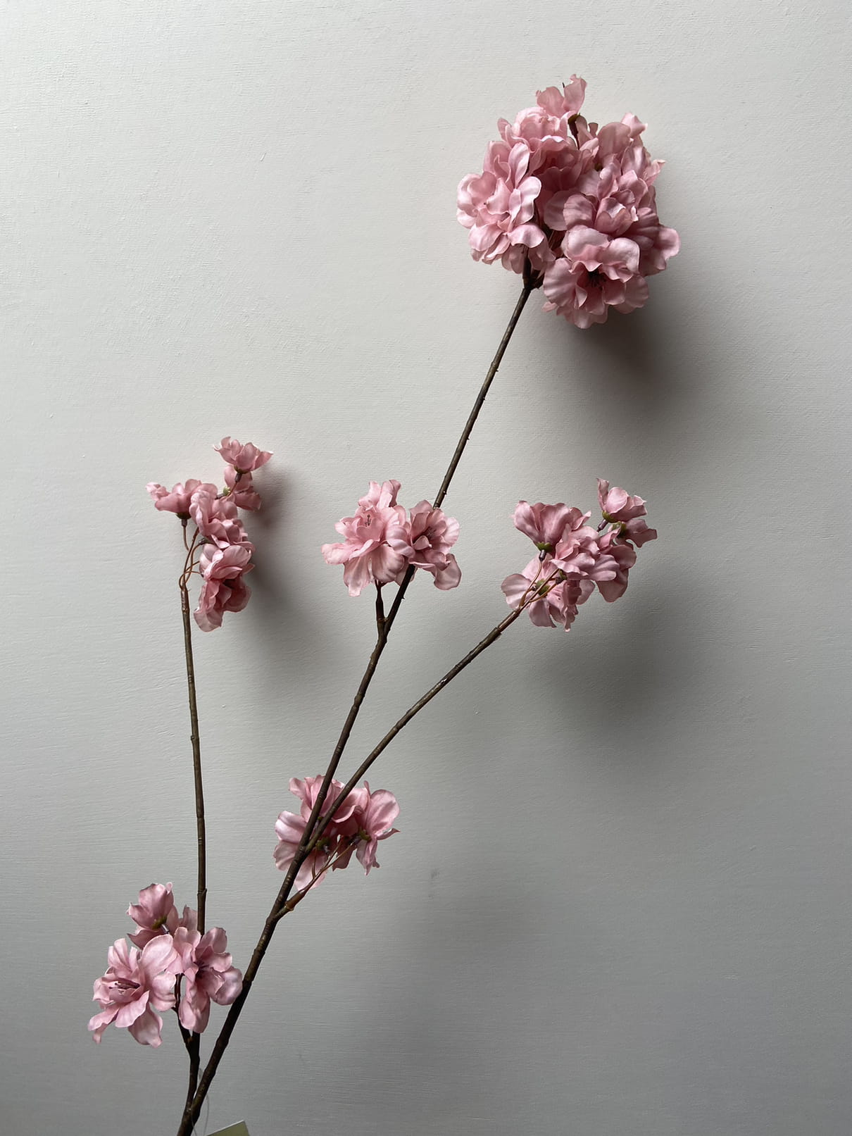 Silk blossom branches Prunus