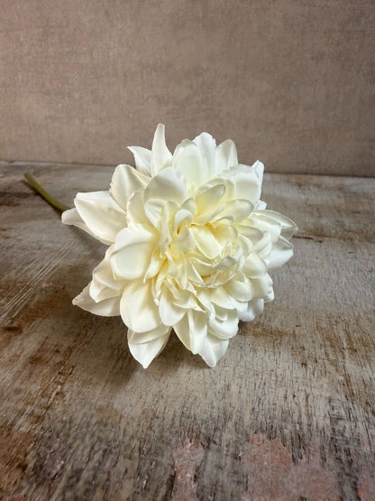 Crème-witte kunst dahlia van Colmore, liggend op een lichtgrijze ondergrond met zichtbaar etiket.