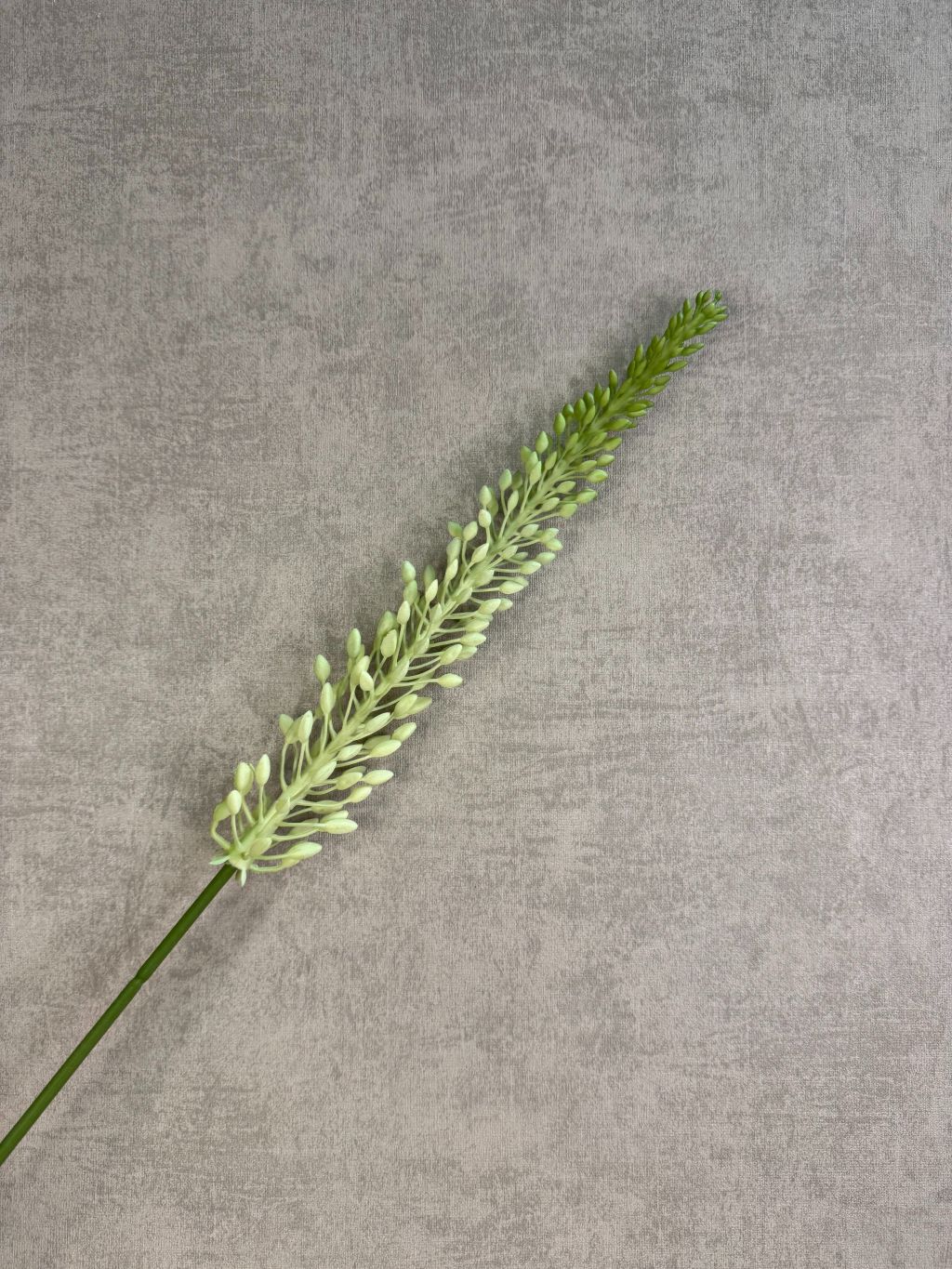Groene kunstbloem Eremurus met een lange steel en langwerpige bloemaar tegen een neutrale achtergrond.