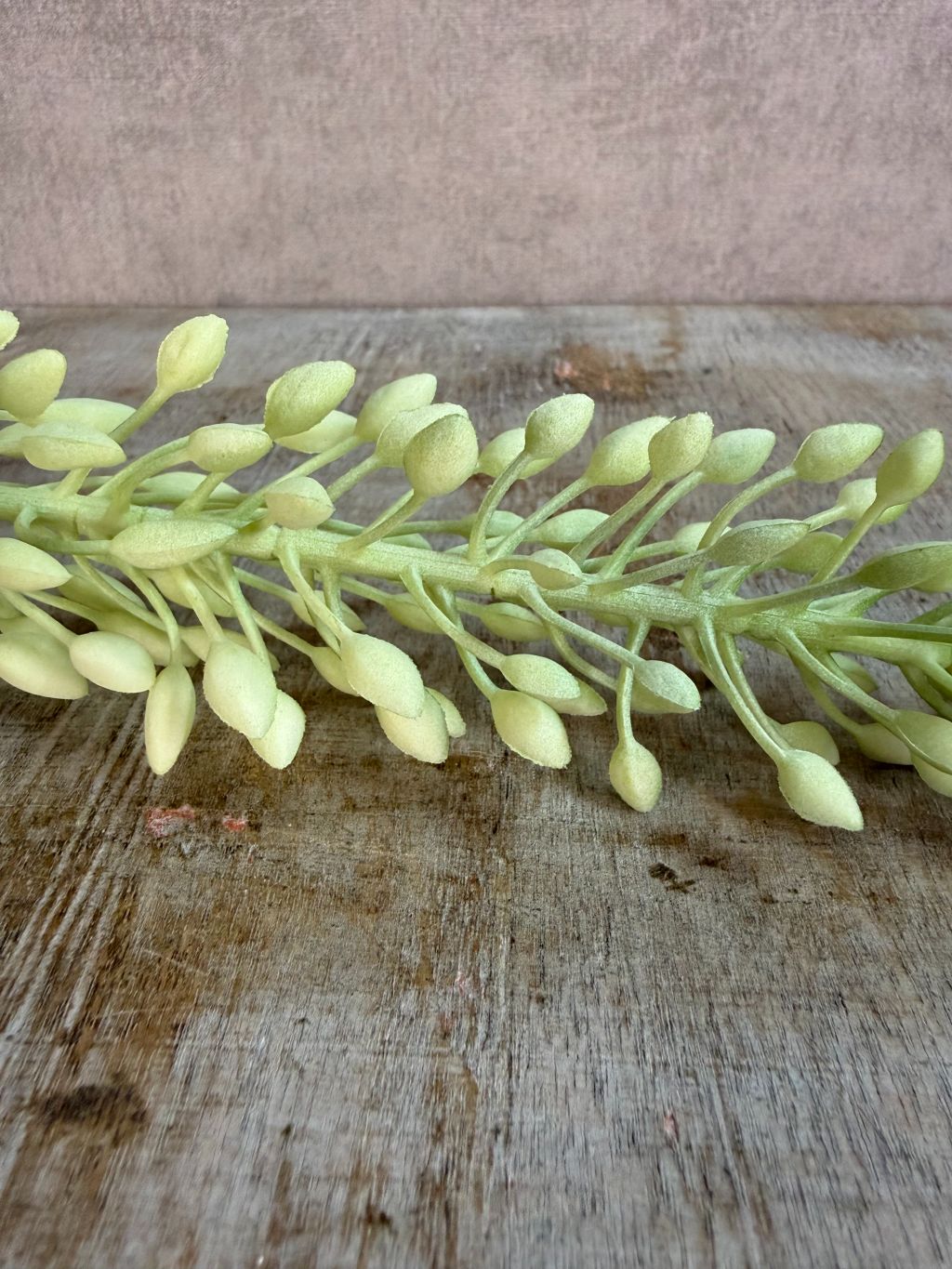 Groene kunstbloem Eremurus met een lange steel en langwerpige bloemaar tegen een neutrale achtergrond.