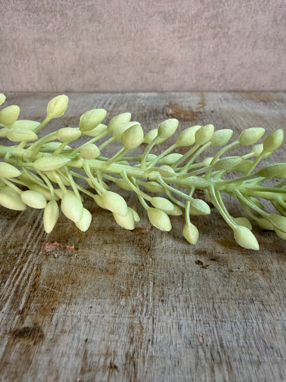 Groene kunstbloem Eremurus met een lange steel en langwerpige bloemaar tegen een neutrale achtergrond.