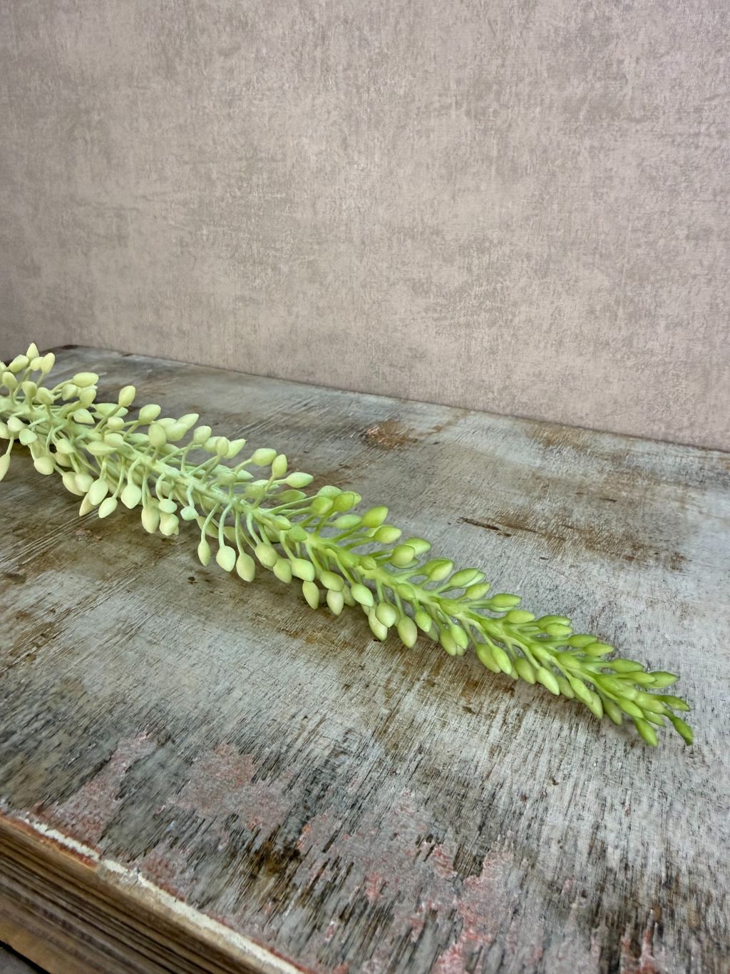 Groene kunstbloem Eremurus met een lange steel en langwerpige bloemaar tegen een neutrale achtergrond.
