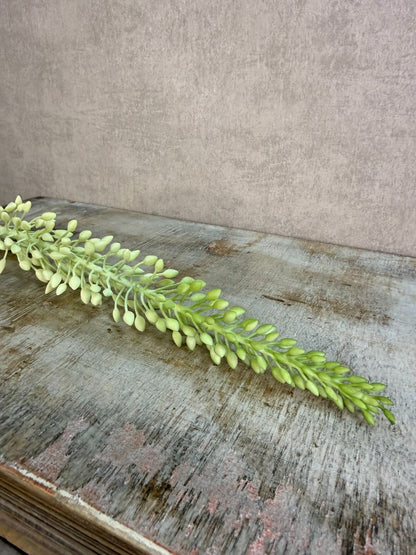Groene kunstbloem Eremurus met een lange steel en langwerpige bloemaar tegen een neutrale achtergrond.