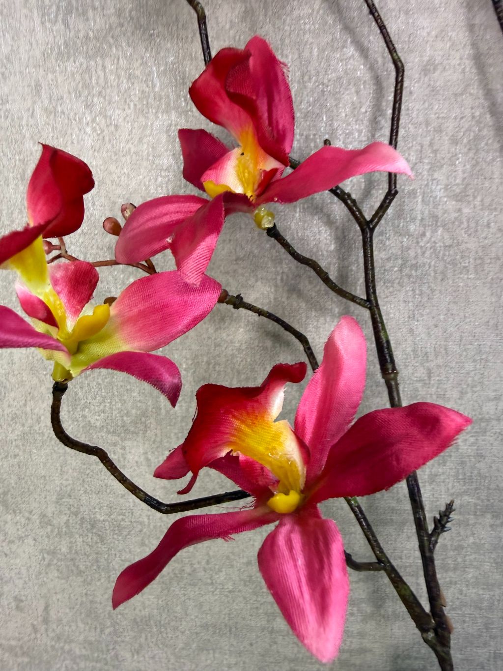 Roze kunstorchidee Cymbidium met meerdere bloemen