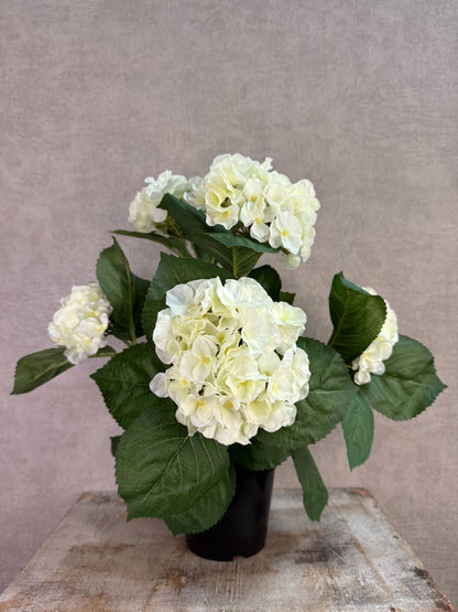 Witte kunst hortensia met groene bladeren op een houten ondergrond.