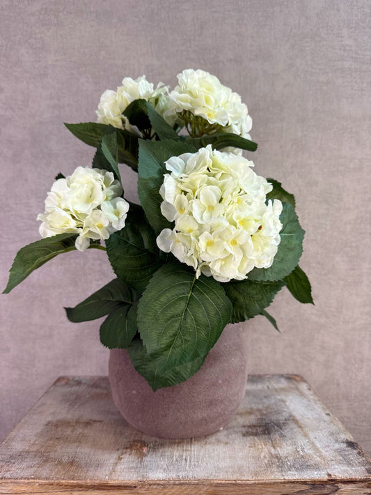 Witte kunst hortensia met groene bladeren in een bruine pot op een houten ondergrond.