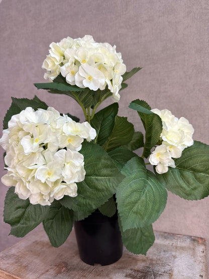 Witte kunst hortensia met groene bladeren op een houten ondergrond.