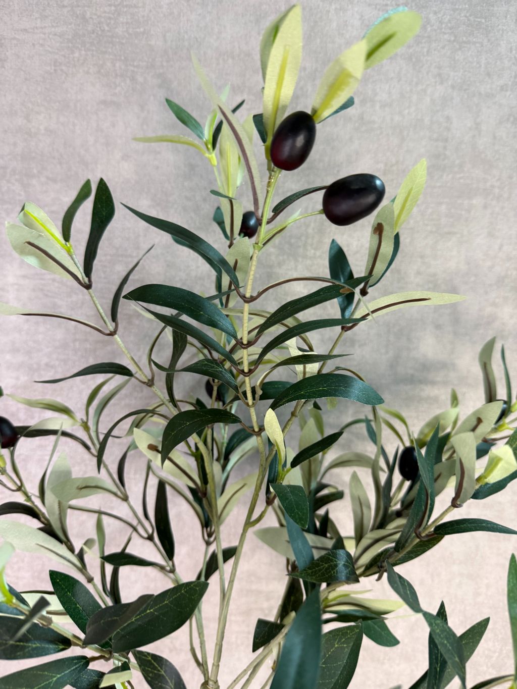 Kunst olijfplant met groene bladeren en zwarte olijven