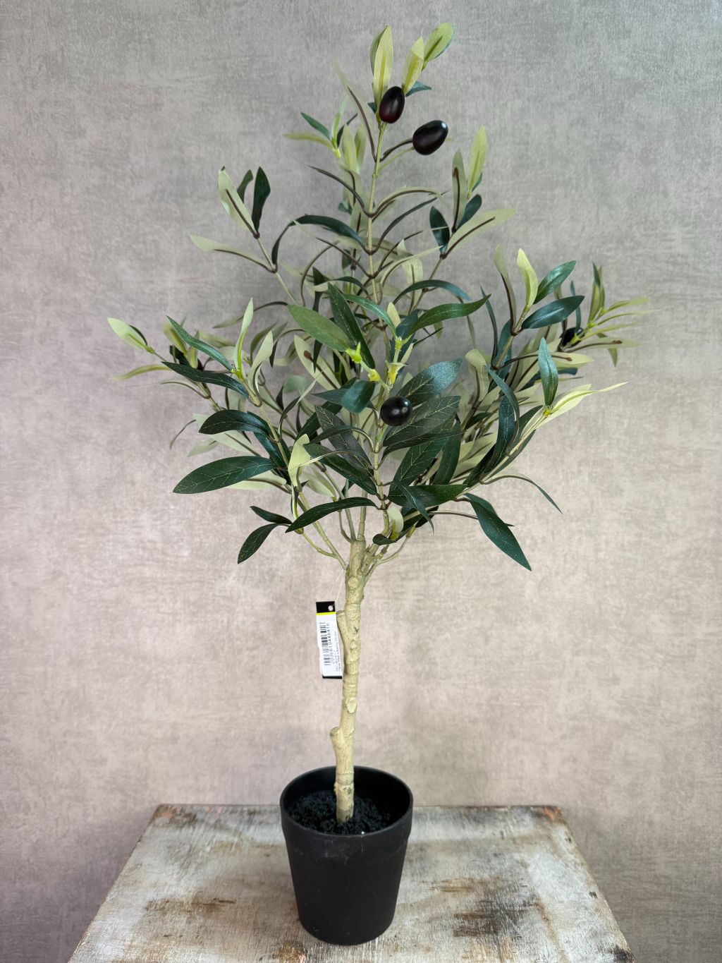 Kunst olijfplant met groene bladeren en zwarte olijven