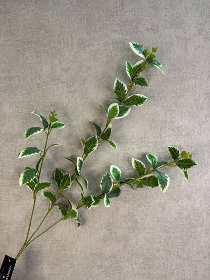 Kunsttak liguster met groen-wit blad en fijne vertakkingen, gefotografeerd tegen een neutrale achtergrond.