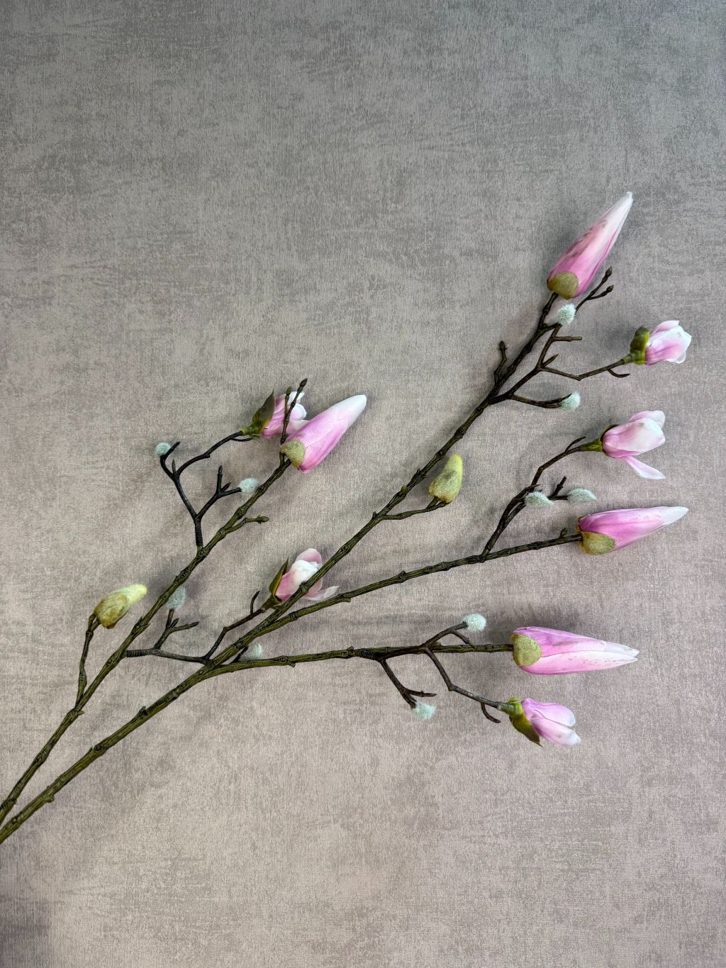 Kunsttak magnolia met roze knoppen en vertakte steel, gefotografeerd tegen een neutrale achtergrond.