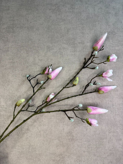 Kunsttak magnolia met roze knoppen en vertakte steel, gefotografeerd tegen een neutrale achtergrond.
