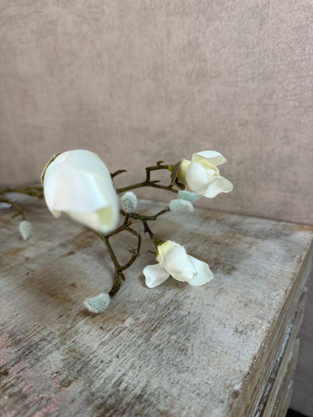 Kunsttak magnolia met gesloten witte knoppen en vertakte steel, gefotografeerd tegen een neutrale achtergrond.