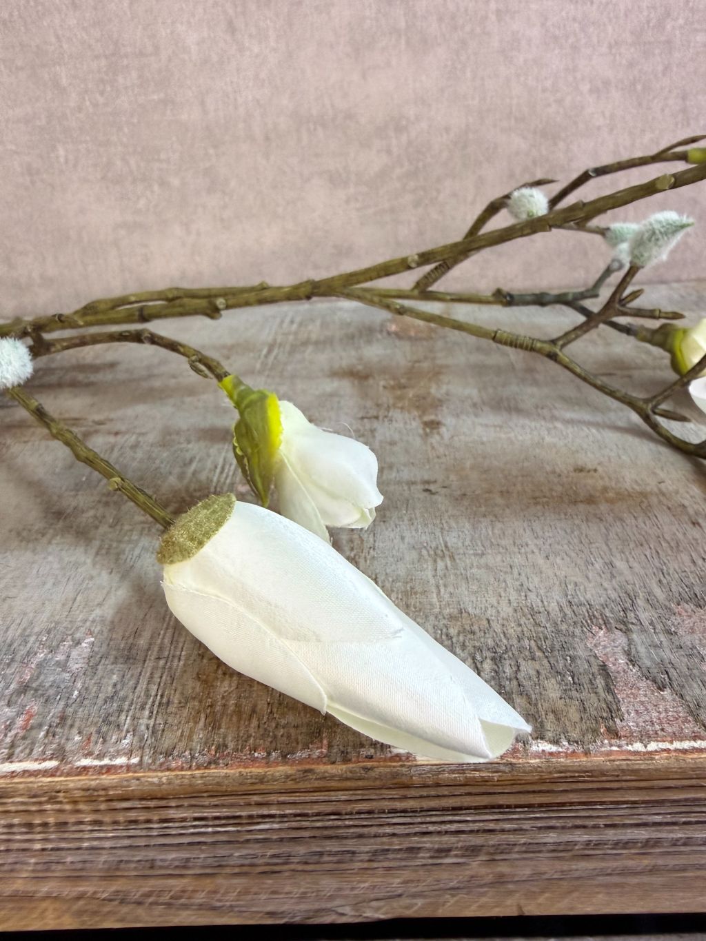 Kunsttak magnolia met gesloten witte knoppen en vertakte steel, gefotografeerd tegen een neutrale achtergrond.