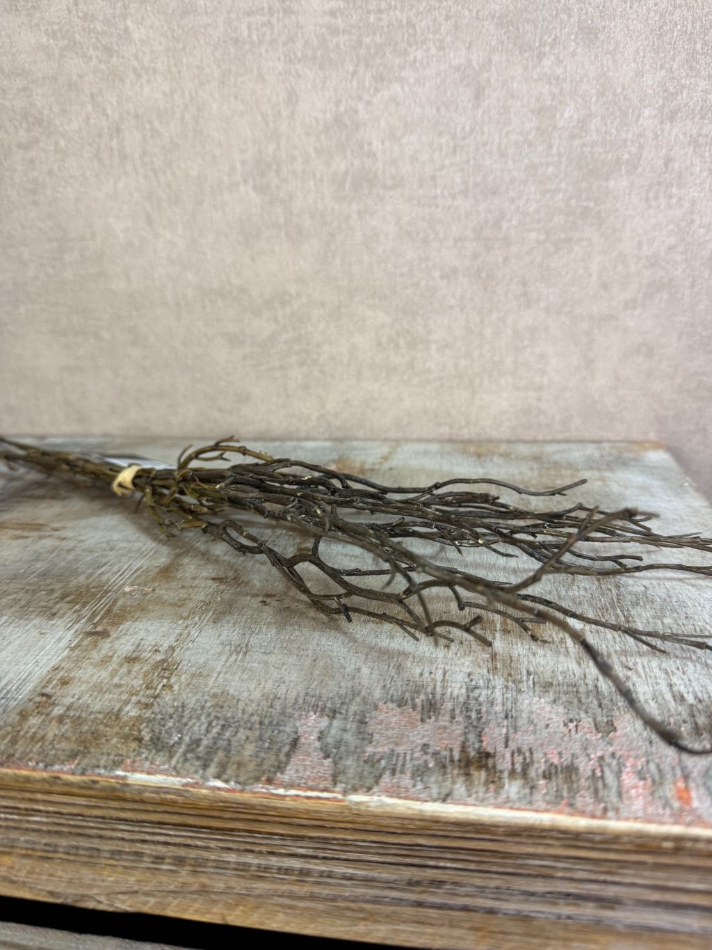 Bos kunsttakken Myrica in bruine kleur met drie vertakte takken, liggend geplaatst op een neutrale achtergrond.