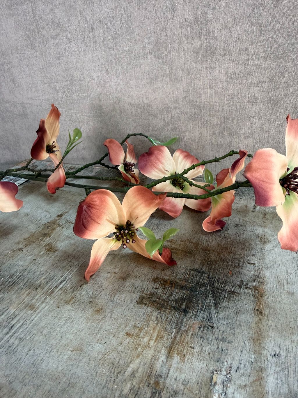 Kunsttak met bruine en crème bloesems en groene knoppen tegen een neutrale achtergrond.