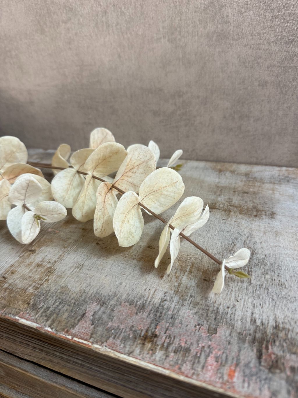 Kunstig Eukalyptusgren | Beige
