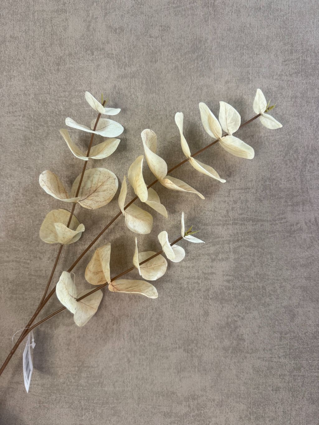 Kunstig Eukalyptusgren | Beige