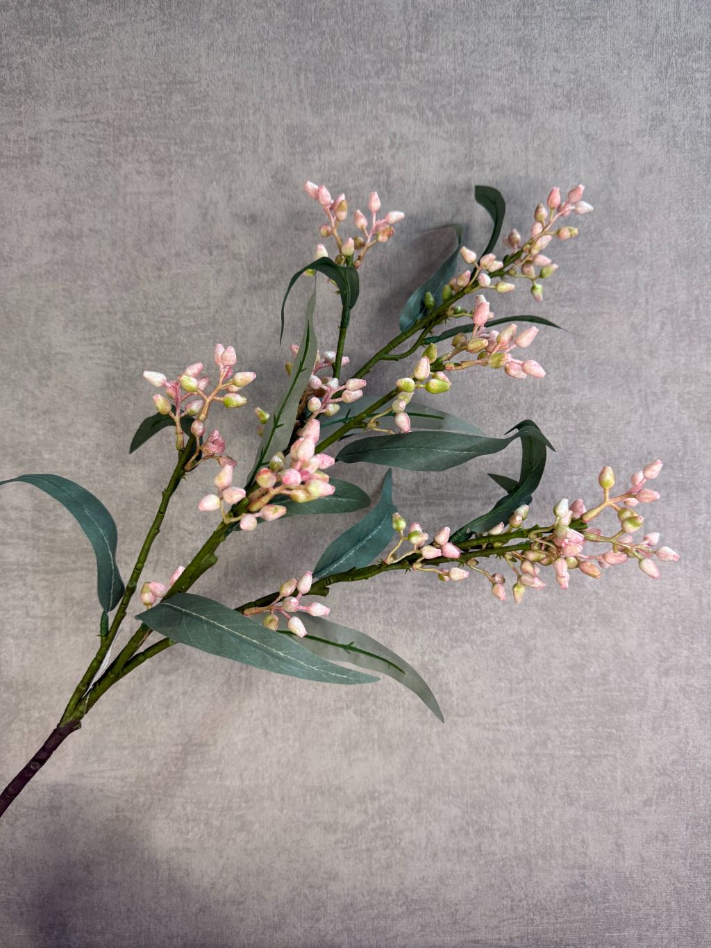 Kunsttak eucalyptus met groen blad en lichtroze knoppen, gefotografeerd tegen een neutrale achtergrond.