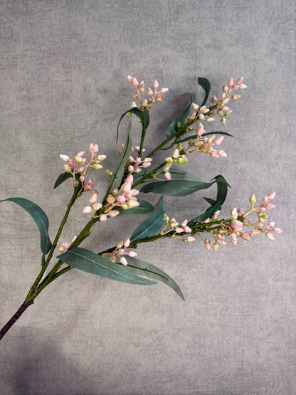 Kunsttak eucalyptus met groen blad en lichtroze knoppen, gefotografeerd tegen een neutrale achtergrond.