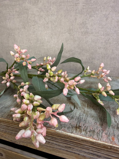Kunsttak eucalyptus met groen blad en lichtroze knoppen, gefotografeerd tegen een neutrale achtergrond.