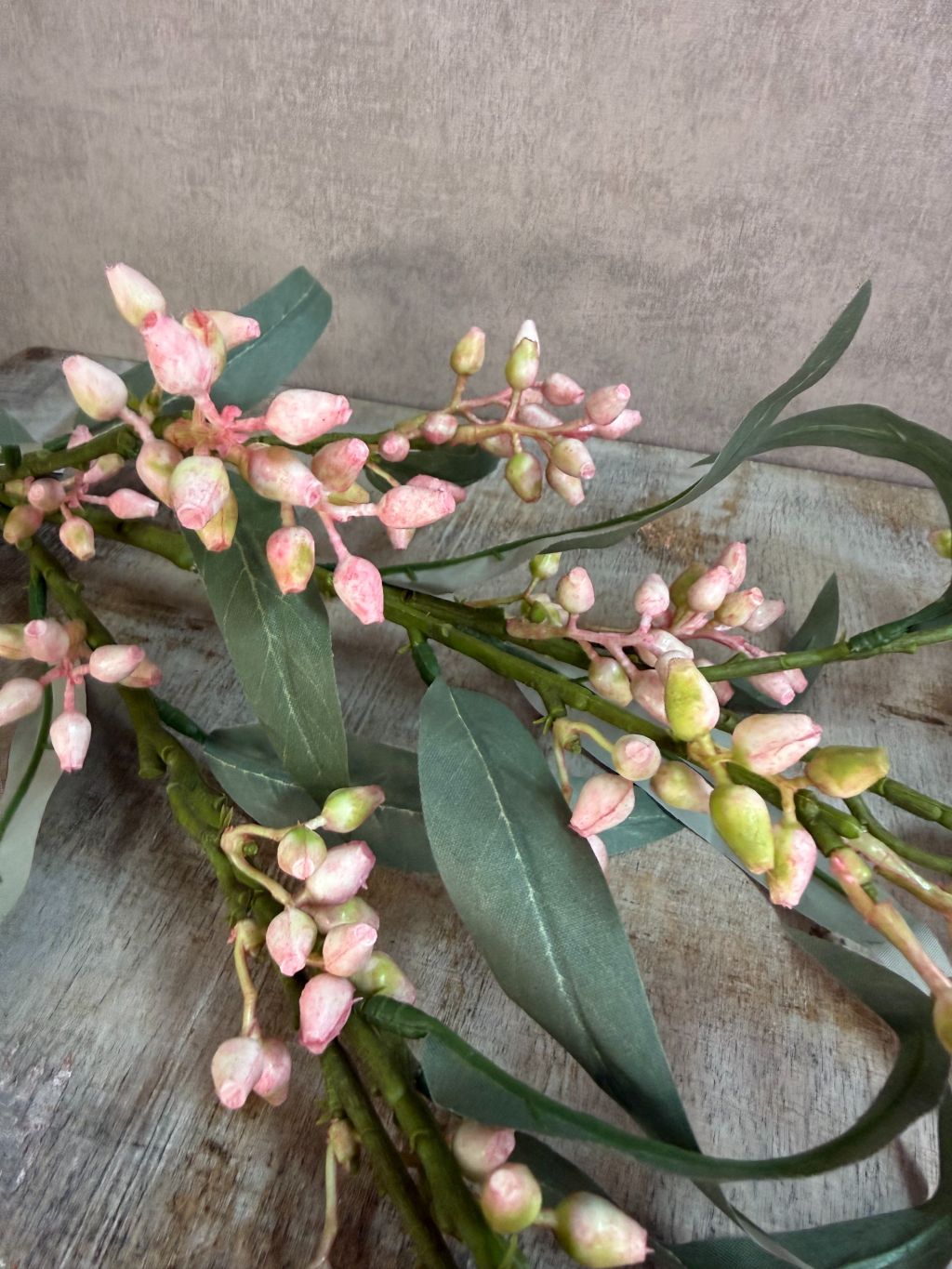 Kunsttak eucalyptus met groen blad en lichtroze knoppen, gefotografeerd tegen een neutrale achtergrond.
