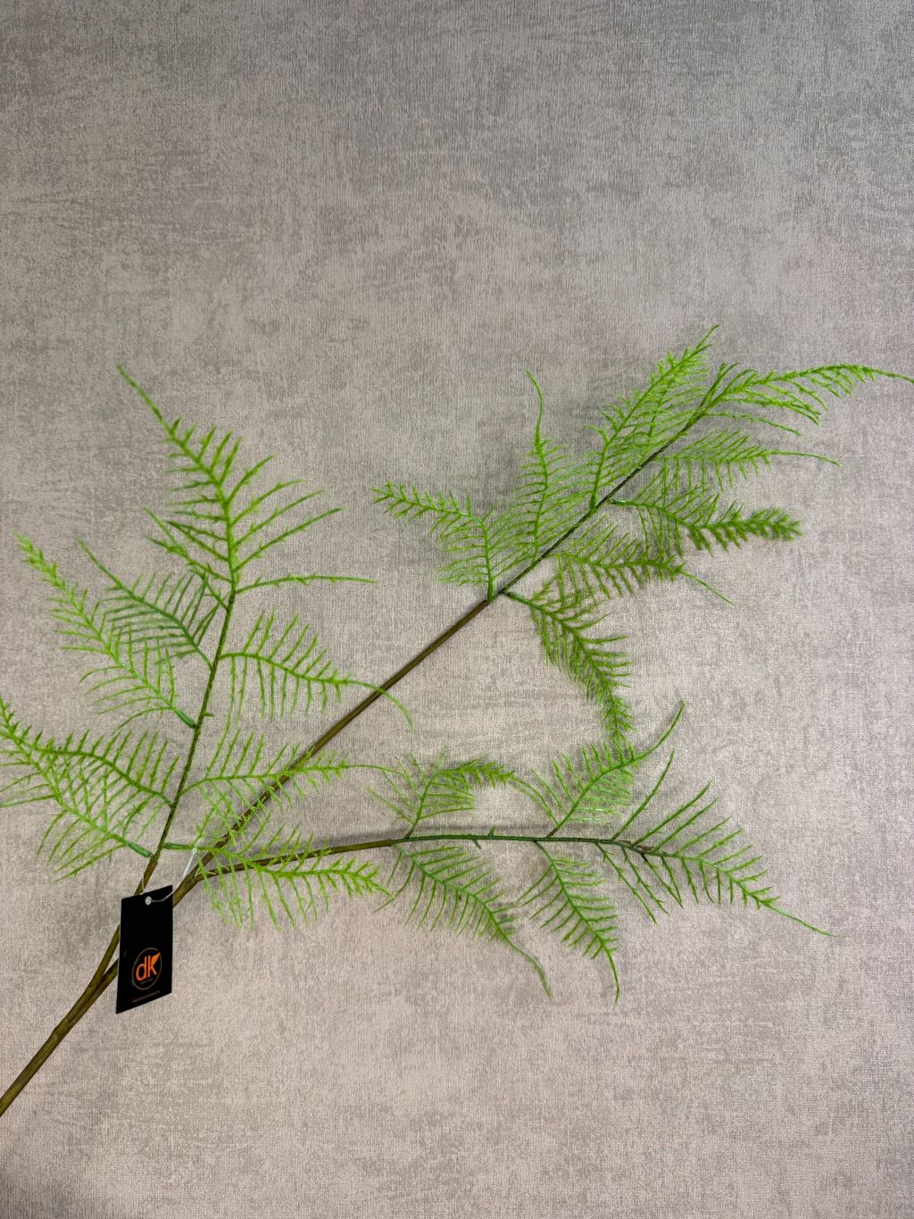 Kunsttak varen in lichtgroene kleur met fijne, sierlijke bladeren aan een lange steel tegen een neutrale achtergrond.