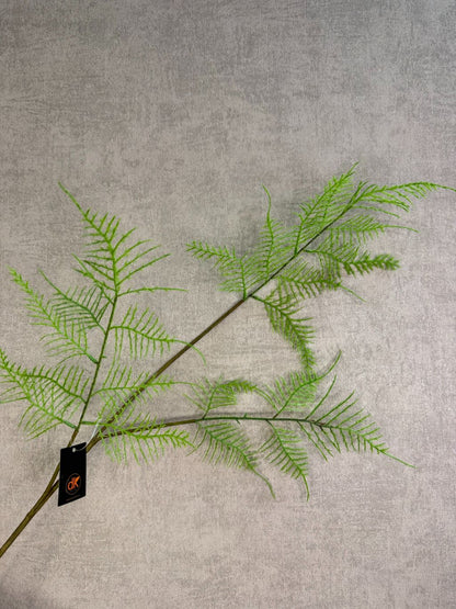 Kunsttak varen in lichtgroene kleur met fijne, sierlijke bladeren aan een lange steel tegen een neutrale achtergrond.