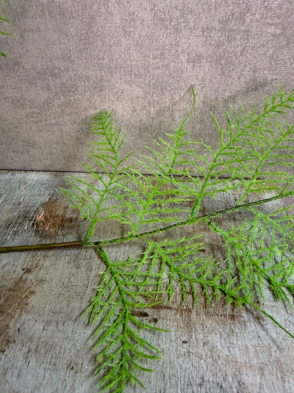 Kunsttak varen in lichtgroene kleur met fijne, sierlijke bladeren aan een lange steel tegen een neutrale achtergrond.