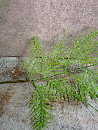 Kunsttak varen in lichtgroene kleur met fijne, sierlijke bladeren aan een lange steel tegen een neutrale achtergrond.