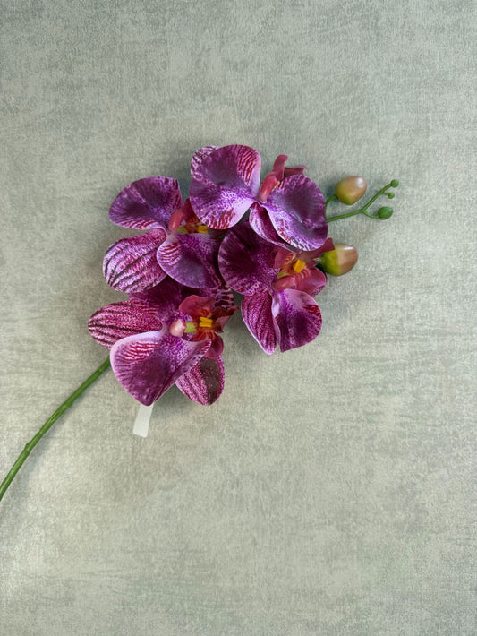 Violette kunstorchidee van 66 cm met real touch afwerking voor een natuurgetrouwe uitstraling.