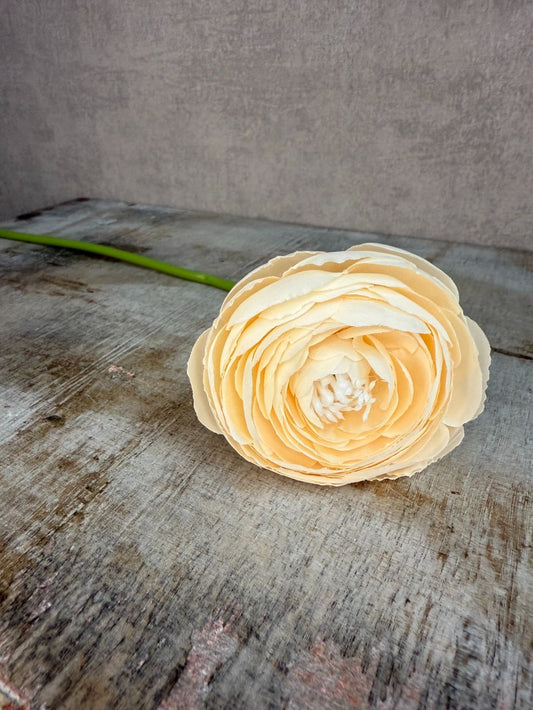 Sztuczny kwiat Ranunculus | Szampan