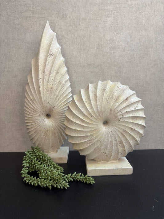 Decoratieset met twee beige schelpornamenten en een groen kunstertwenplantje op zwarte ondergrond – natuurlijke vensterbankstyling.