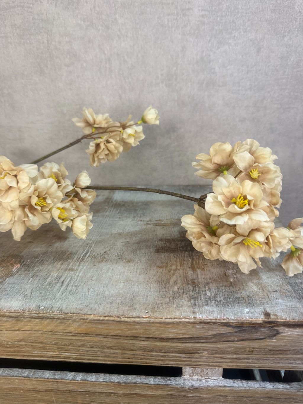 Zijden bloesemtak Prunus cappucino