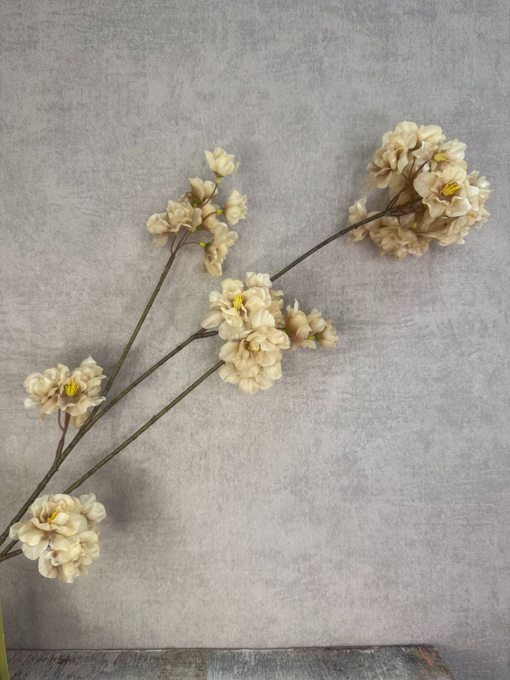 Zijden bloesemtak Prunus cappucino