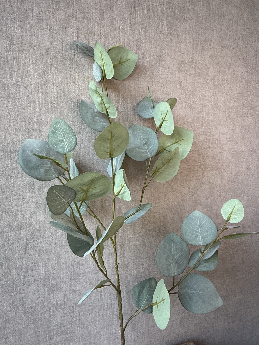 Kunsttak Eucalyptus 95 cm groen van HomeBound by KY met realistische ronde bladeren.