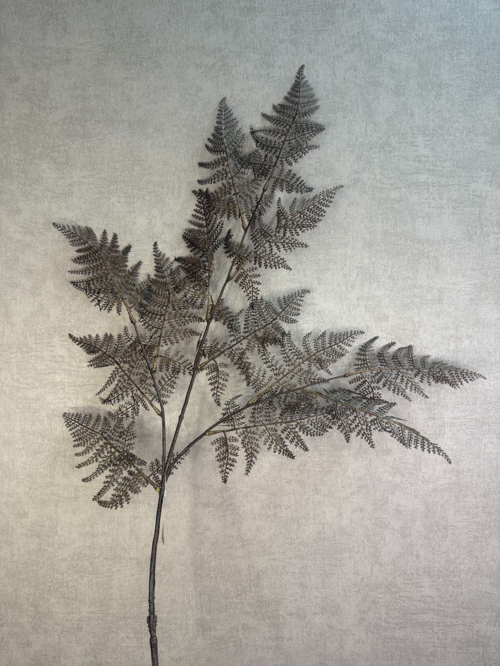 Kunsttak Varen bruin – decoratieve tak met fijne varenblaadjes in warme bruintinten tegen een neutrale achtergrond.