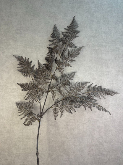 Kunsttak Varen bruin – decoratieve tak met fijne varenblaadjes in warme bruintinten tegen een neutrale achtergrond.