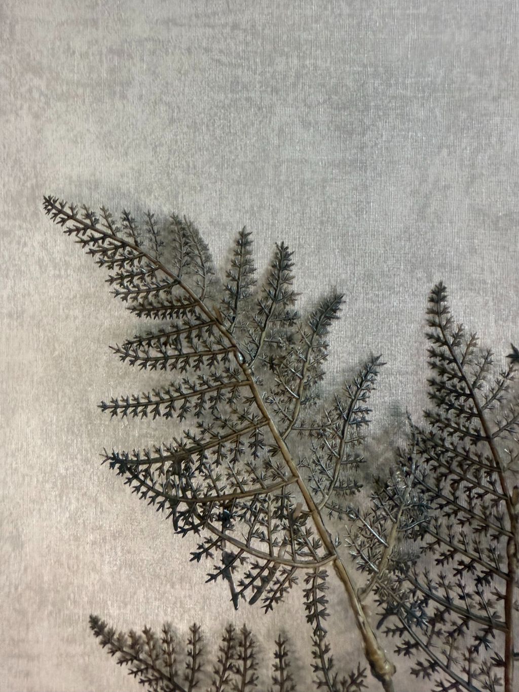 Kunsttak Varen bruin – decoratieve tak met fijne varenblaadjes in warme bruintinten tegen een neutrale achtergrond.